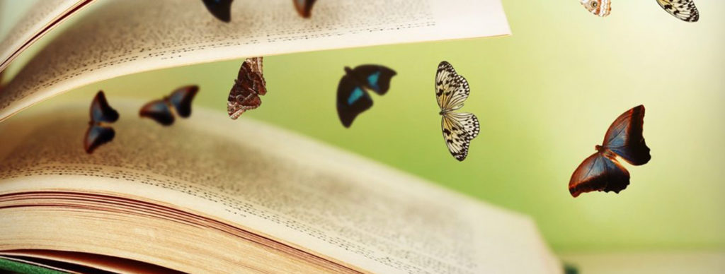 vlinders in boek