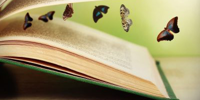 vlinders in boek