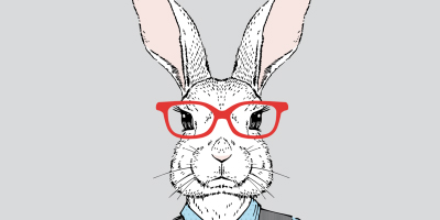 visual konijn met bril