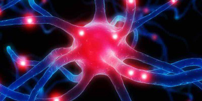 neuron visual