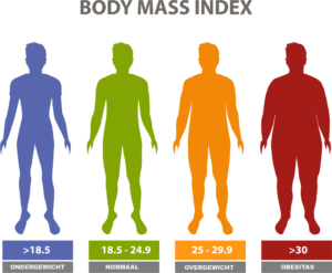 Visual body mass index
