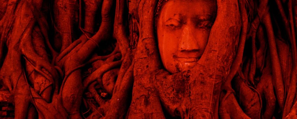 Afbeelding rode wortels met boeddha beeld