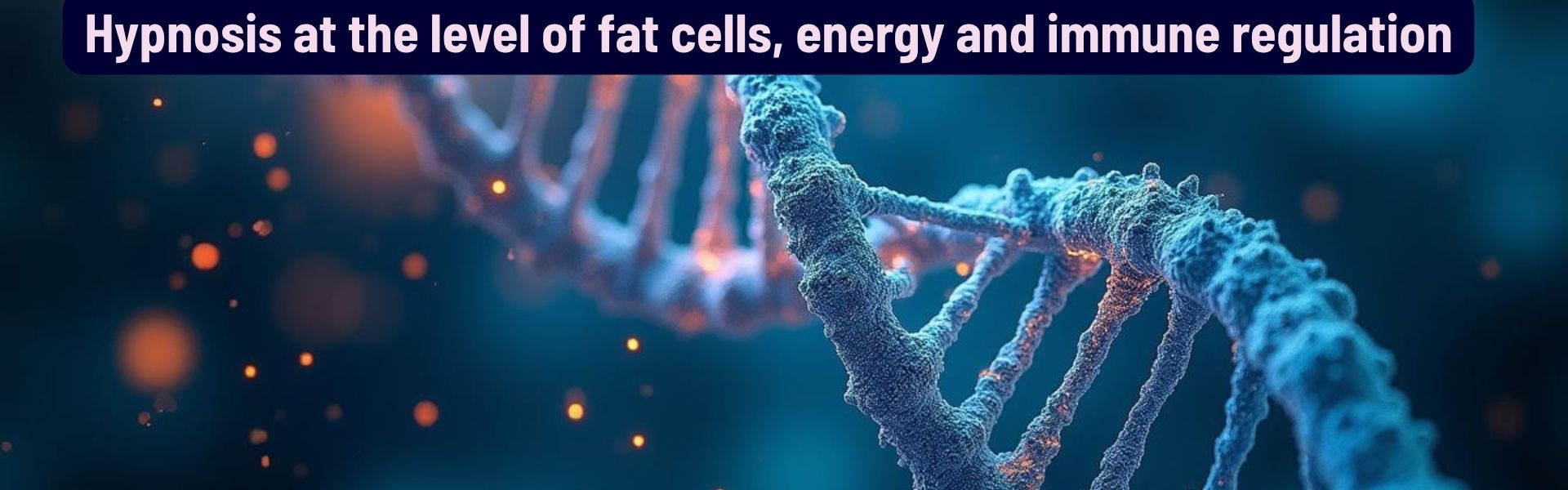 Hypnosis at the level of fat cells, energy and immune regulation