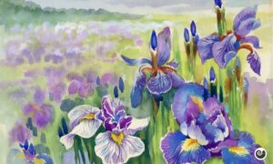 Iris als symbool van geurpsychologie