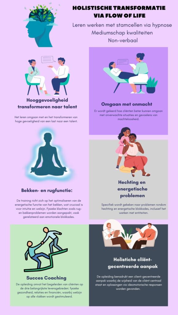 Flow of Life hypnose opleiding visual