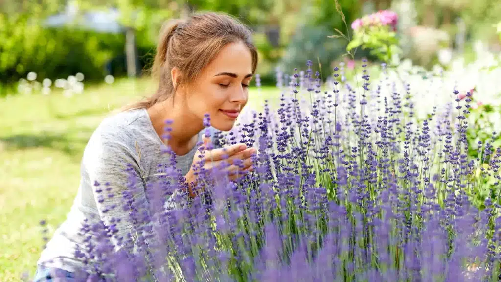 Geurpsychologie in hypnose HypnoScent