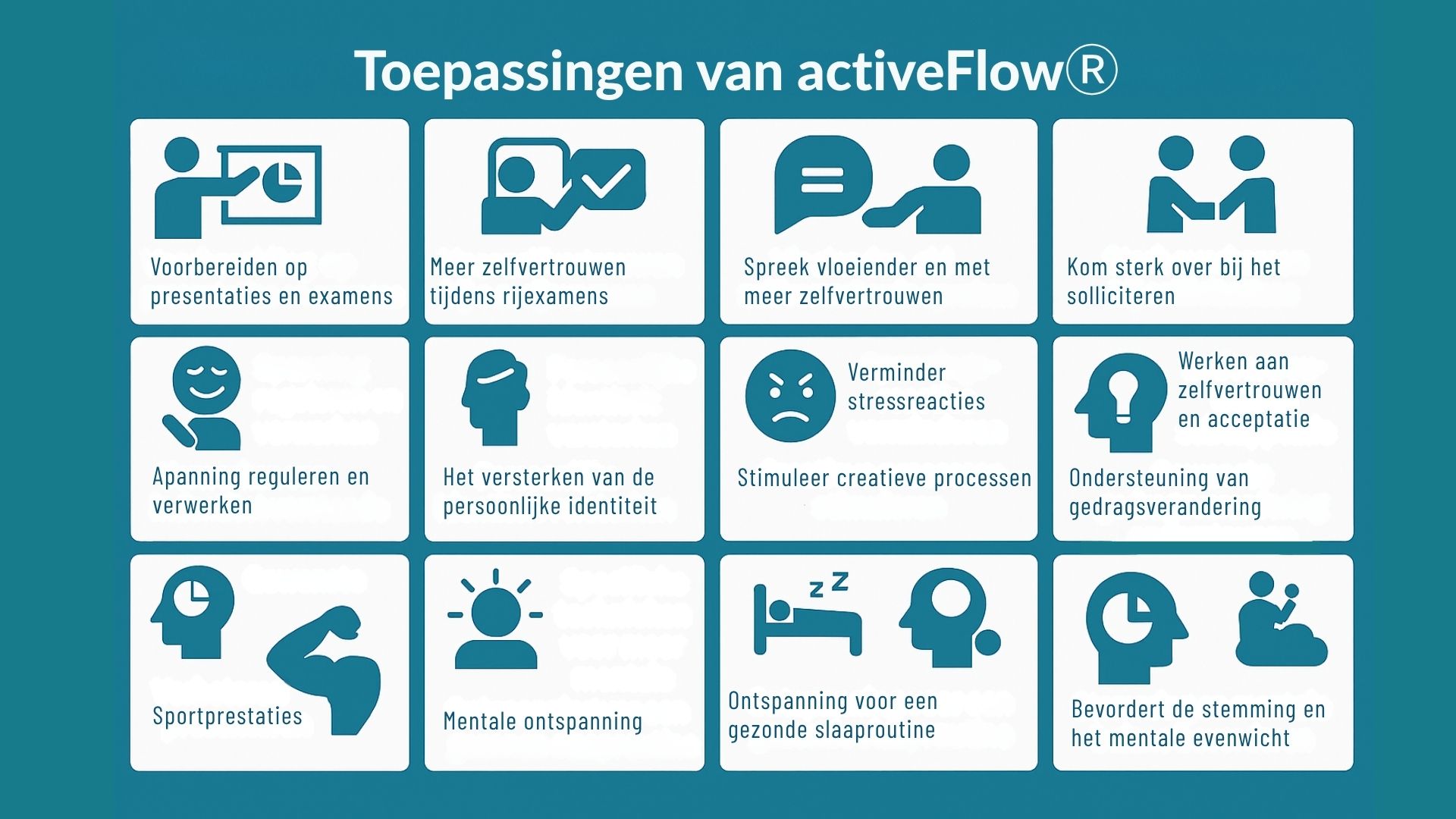 toepassingen activeFlow opleiding