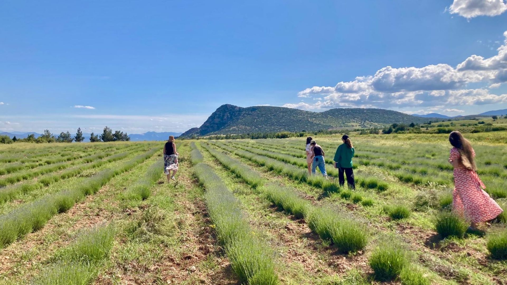 Bezig op velden in Turkije