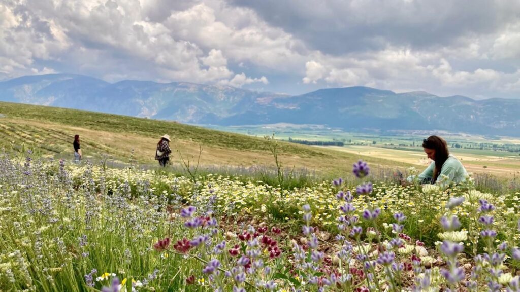 Studiereis Natuurlijk Werken Diep Verbinden