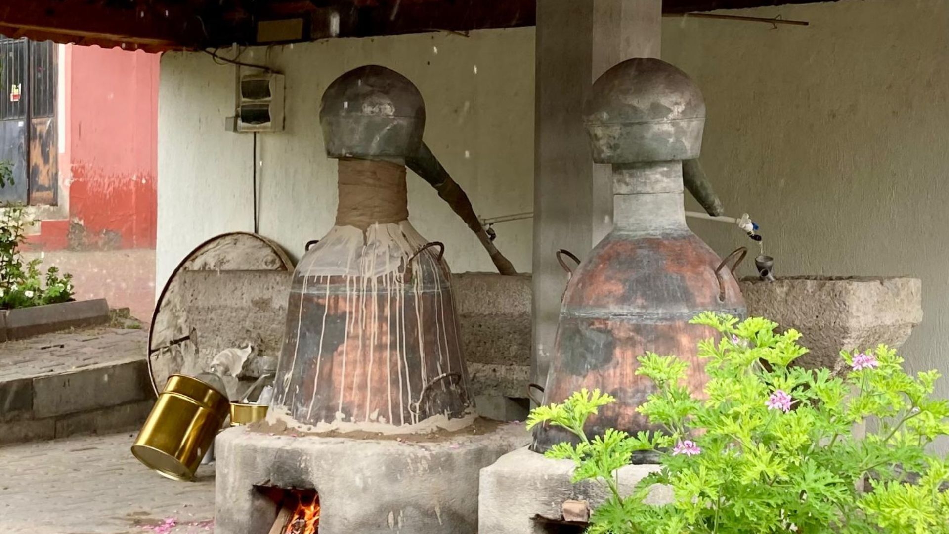 Rozendestilleerderij in Turkije