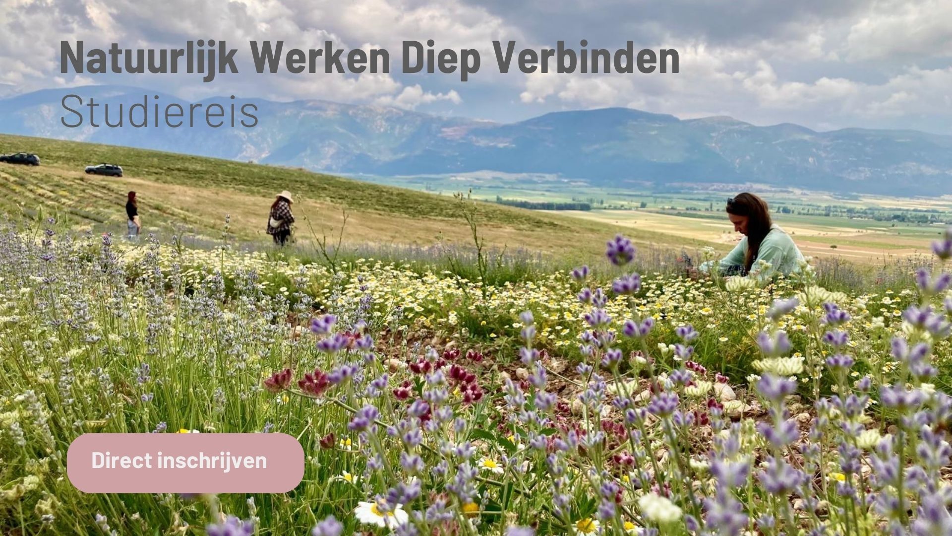 Studiereis Natuurlijk Werken Diep Verbinden