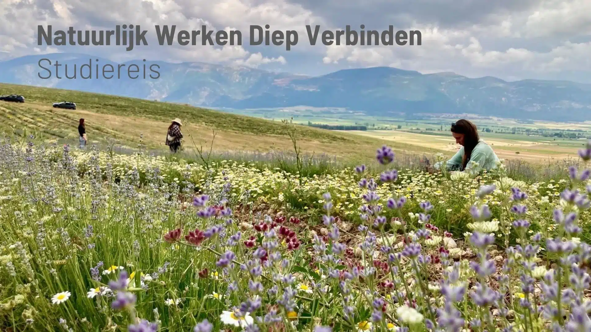 Studiereis Natuurlijk Werken Diep Verbinden