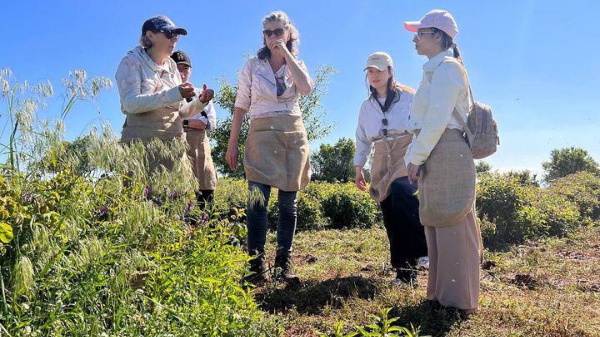 Turkije Groep Studiereis Natuurlijk Werken