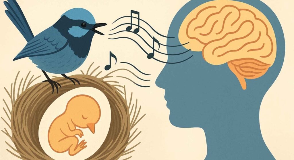 Posthypnotische suggestie in de natuur